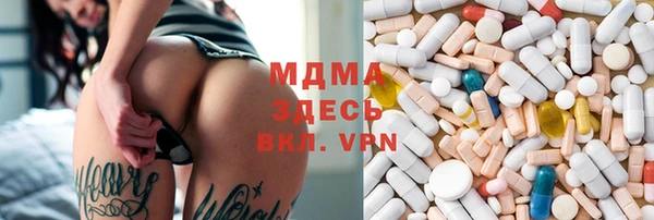 прущие грибы Беломорск