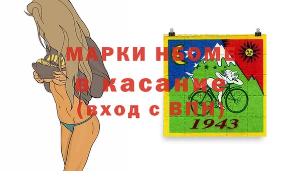 прущие грибы Беломорск