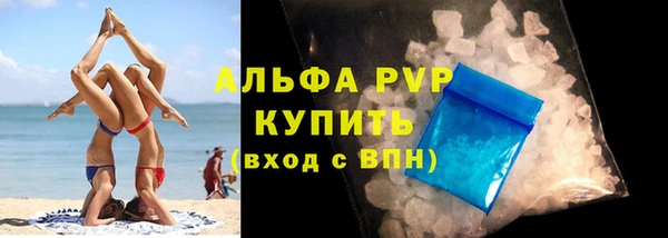 прущие грибы Беломорск