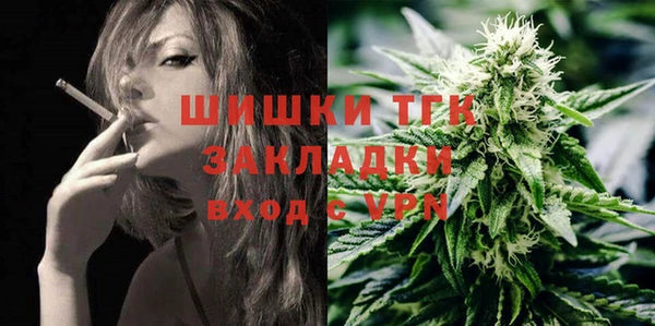прущие грибы Беломорск