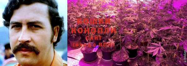 экстази Белоозёрский