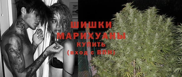 прущие грибы Беломорск