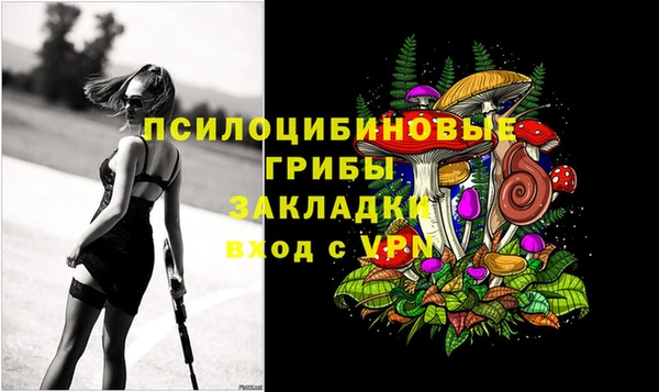 прущие грибы Беломорск