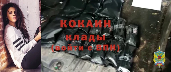прущие грибы Беломорск