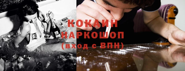 прущие грибы Беломорск